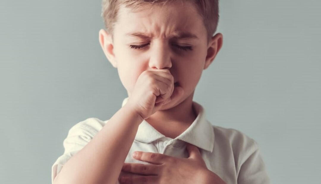 Rempah Kencur yang Berkhasiat Untuk Kesehatan