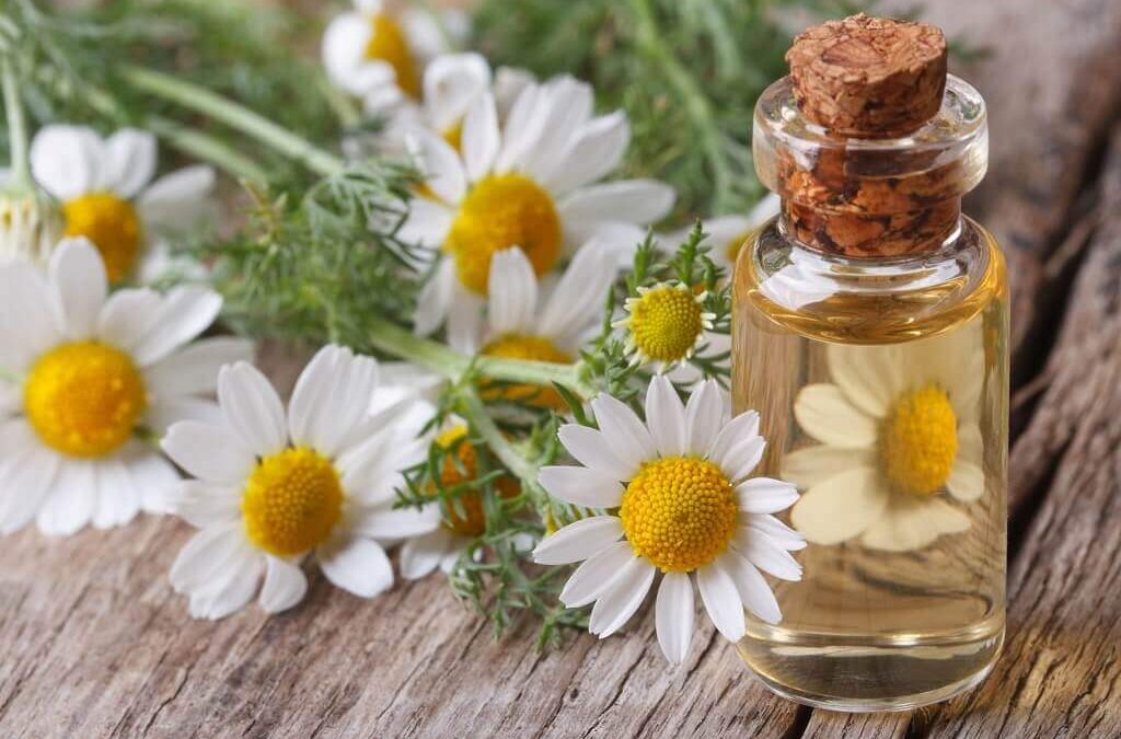 Bahan Alami Skincare Herbal yang Bagus Untuk Perawatan Kulit