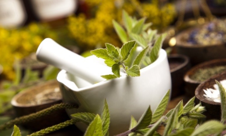 6 Strategi Bisnis Obat Herbal Paling Tepat, Efektif untuk Menjaring Konsumen!